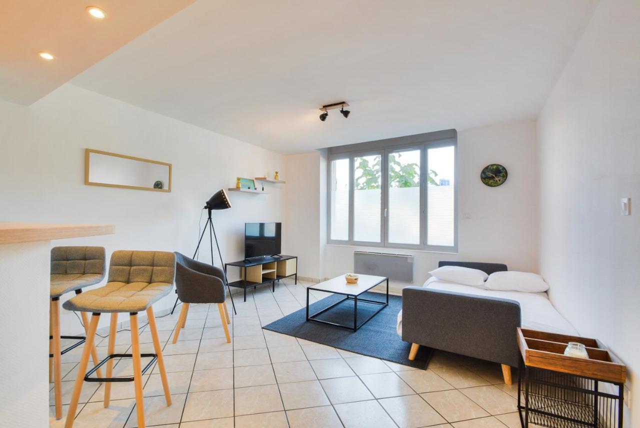 Les Cosy De Nancy La Taniere De La Porte Verte 4Etoiles 외부 사진